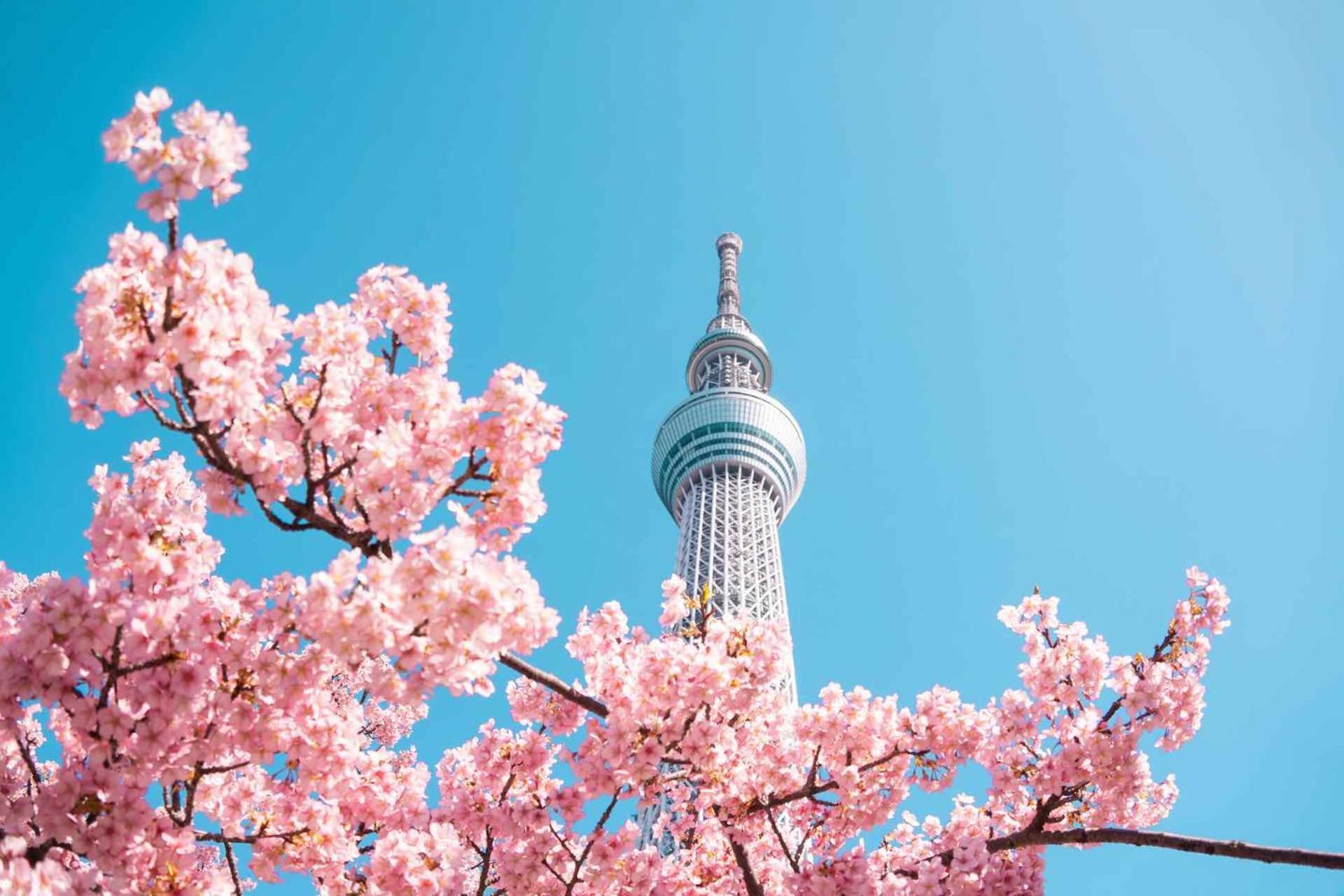 Fl Hotel Asakusa Τόκιο Εξωτερικό φωτογραφία